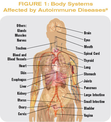 Body System Autoimmune 