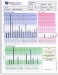 Hair Mineral Analysis Comprehensive Written Report